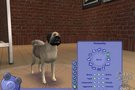 Quelques images pour  Les Sims 2 : Animaux Et Cie