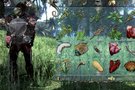 Koch Media dcale  Two Worlds 2  en images