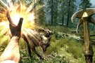 Six images sympathiques pour The Elder Scrolls 5 : Skyrim 