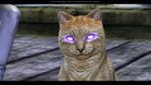 Images et photos Dragon Age : Origins