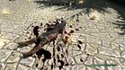 Images et photos The Elder Scrolls 5 : Skyrim