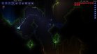 Images et photos Terraria