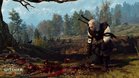 Images et photos The Witcher 3 : Wild Hunt