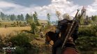 Images et photos The Witcher 3 : Wild Hunt