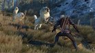 Images et photos The Witcher 3 : Wild Hunt