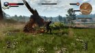Images et photos The Witcher 3 : Wild Hunt