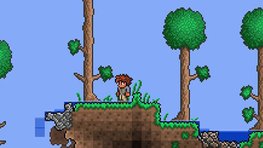 Test de Terraria