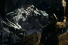 Video Games Award : Dark Souls 2 annonc