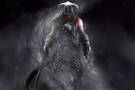 Skyrim : une magnifique statuette du hros pour 300 dollars